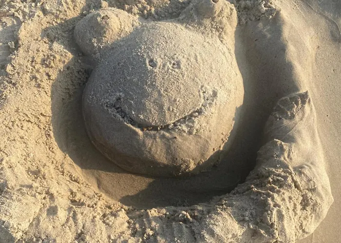 Ferienhaus Plazowa Mielenko